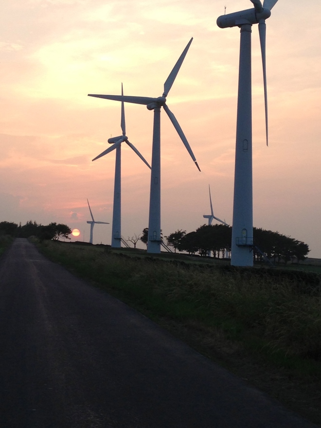 The Windmills at sundown